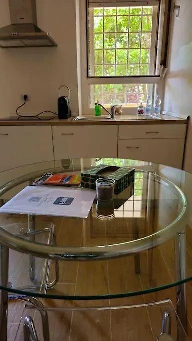 Loft Moderno Fiumicino Apartment
